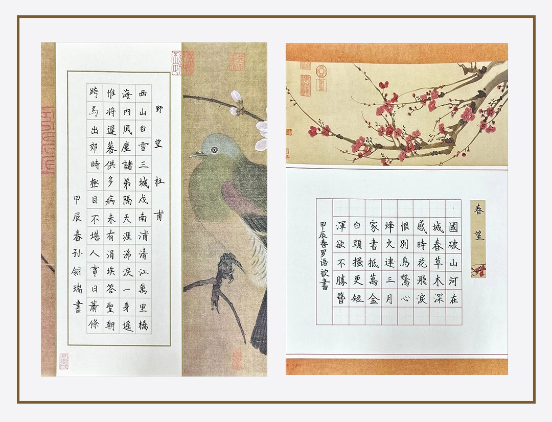 作品展示