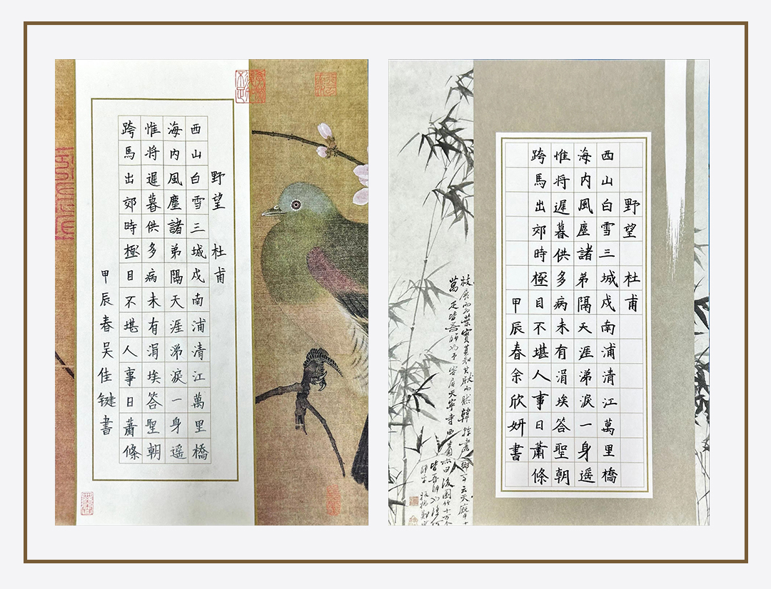 作品展示