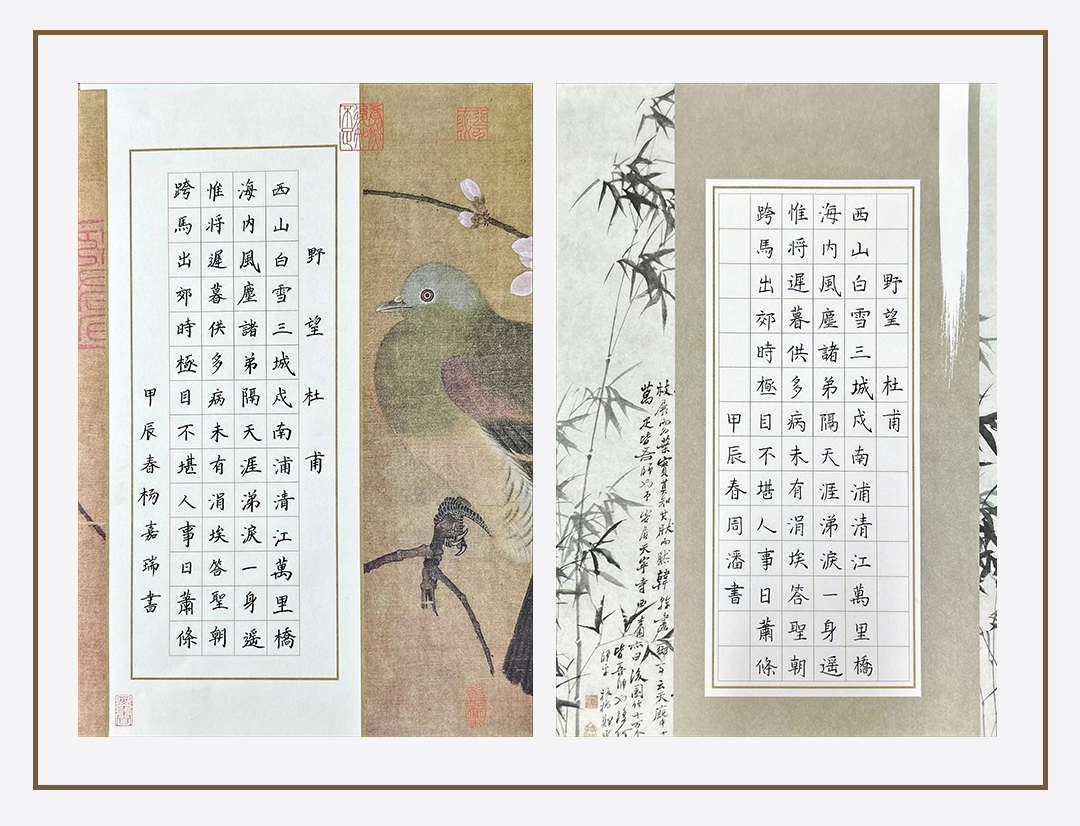 作品展示